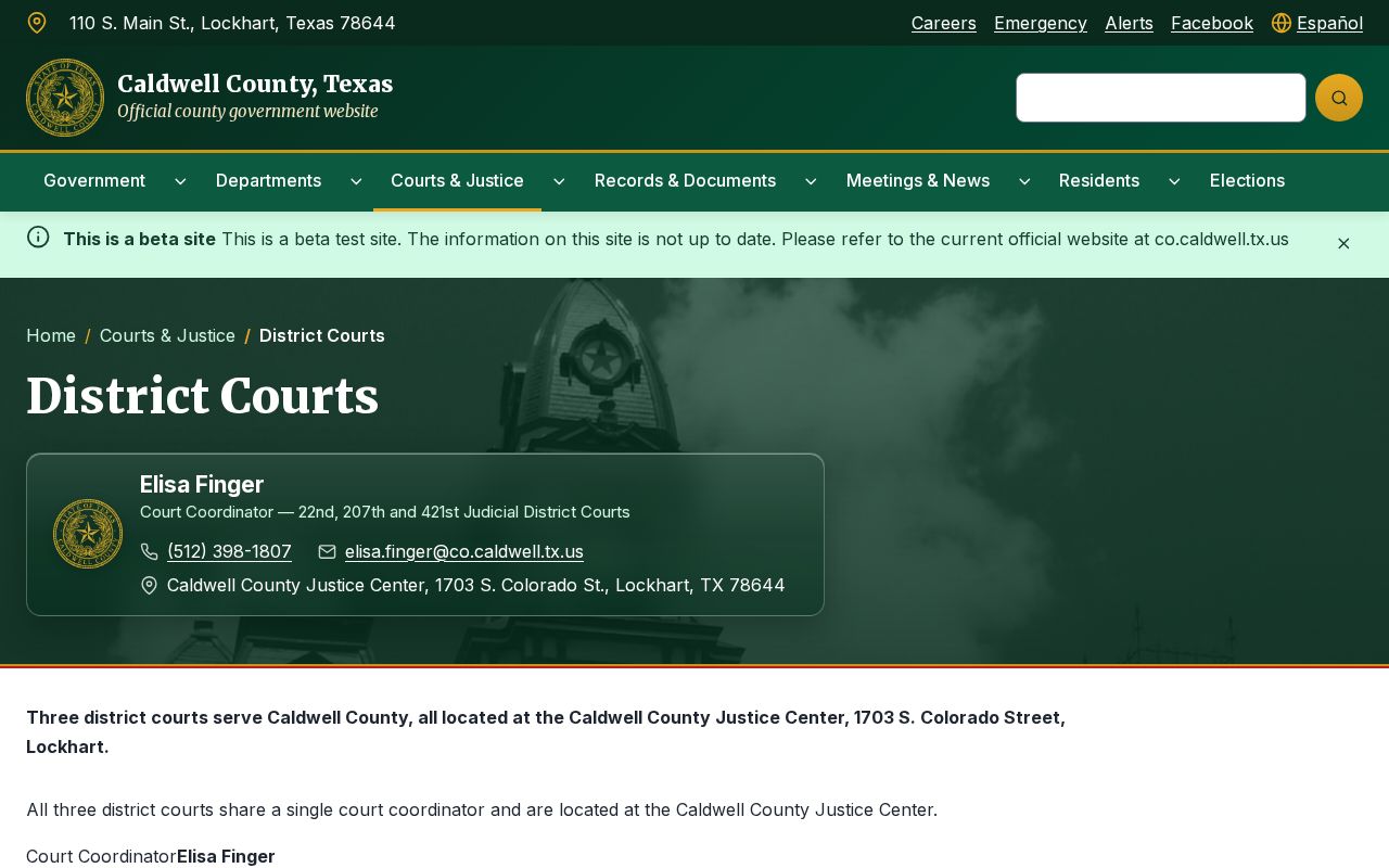 Caldwell County court docket page for three District Courts